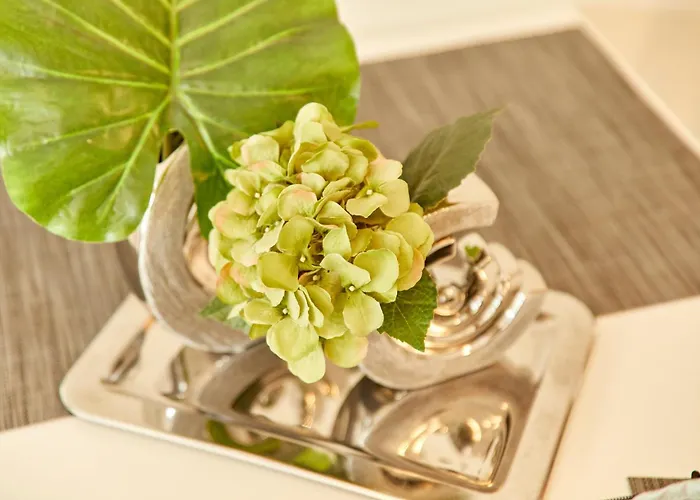 アパート Baron ベルンカステル・クース